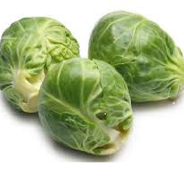 cavolini