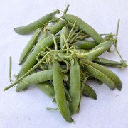 piselli