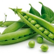 PISELLI BACELLO PICCOLO
