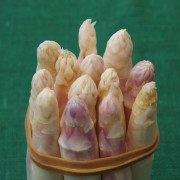 asparago-bianco-2