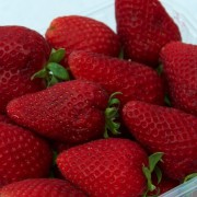 fragole-1