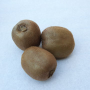 kiwi-3