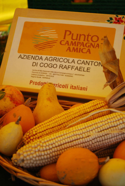 vendita diretta prodotti agricoli italiani banco campagna amica Cantonà