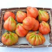 cesto-pomodori-cuore-di-bue