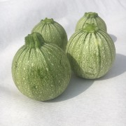 IMG_5853