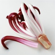 radicchio tardivo4
