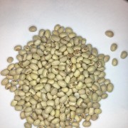 fagioli borlotti secchi