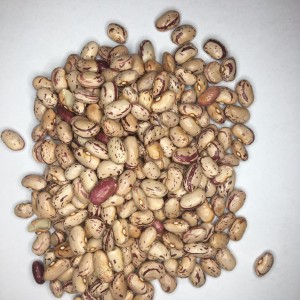 fagioli borlotti secchi