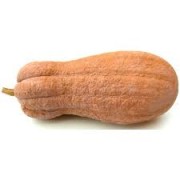 zucca violina