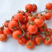 pomodorini