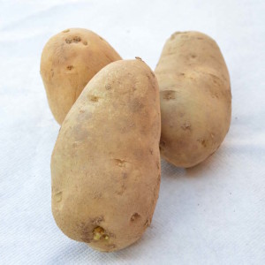 tre-patate-gialle