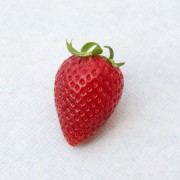 fragola
