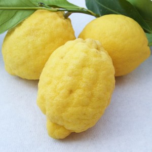 limoni-3