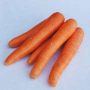 carote 3