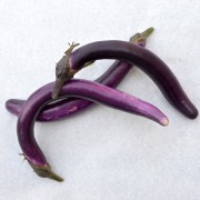 melanzane-fine-gruppo