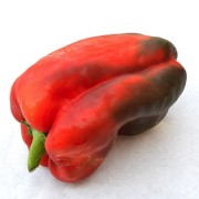 peperone-rosso