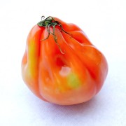 pomodoro-cuore-di-bue