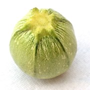 zucchina-tonda