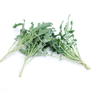 broccolo fiolaro 3